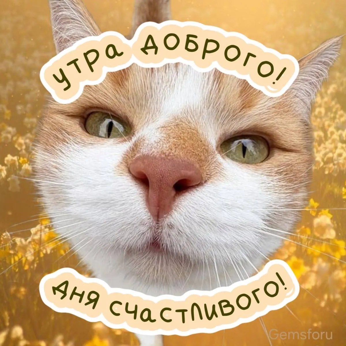 Переменная облачность и температура до +29°C — прогноз на сегодня в Екатеринбурге.