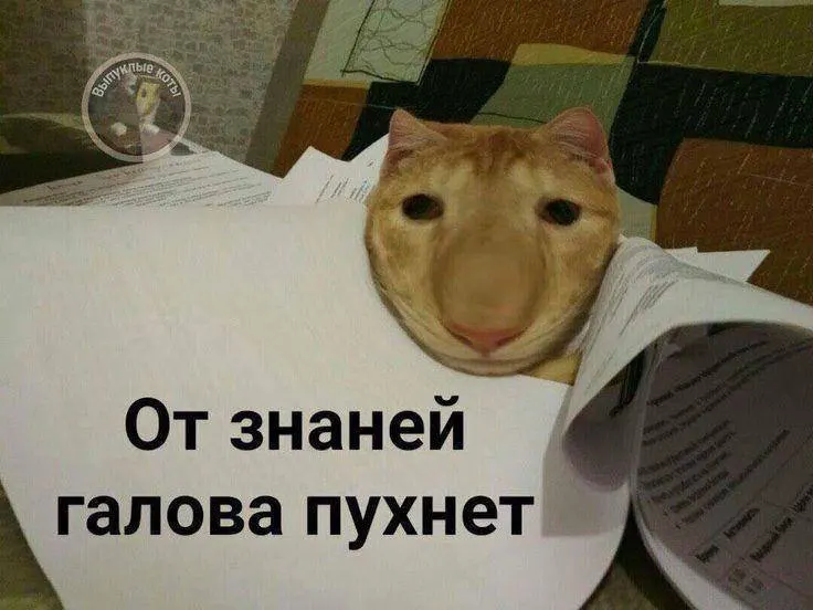 Минспорт анонсировал тестовый норматив по управлению малым дроном в рамках комплекса ГТО; с следующего года знак смогут получить желающие по всей России.