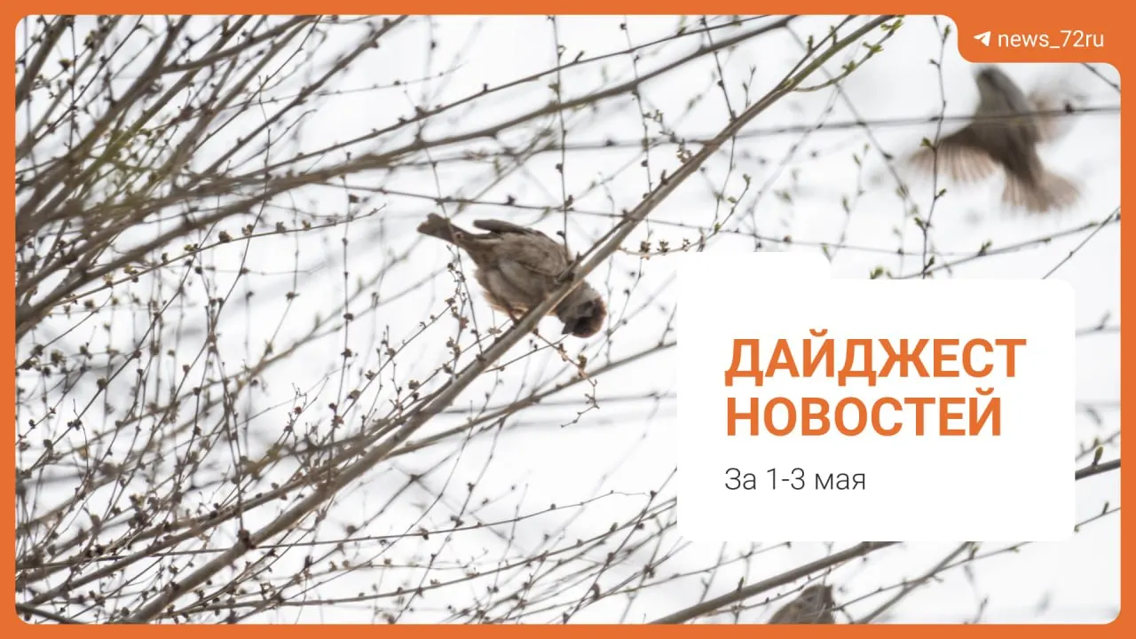 Краткий региональный дайджест: шокирующие цены на летние лагеря, дефицит бюджета Тюменской области-2025, календарь школьных каникул, смягчённое наказание в деле об изнасиловании, просьбы о приюте для кошек и другие местные новости.