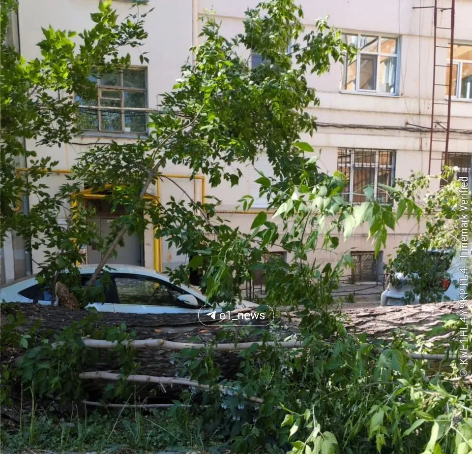 Во дворе по адресу ул. Горького, 29 из‑за сильного ветра упали деревья и повредили припаркованные машины. Опубликованы кадры с места происшествия.