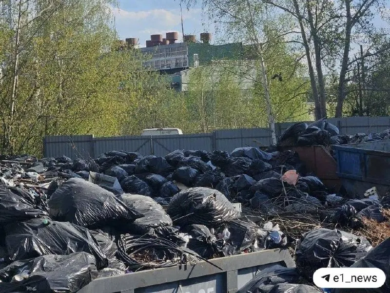 После проверки первого заместителя главы Екатеринбурга один сотрудник уволен, другому вынесли строгий выговор — мусорные площадки были очищены в кратчайшие сроки.