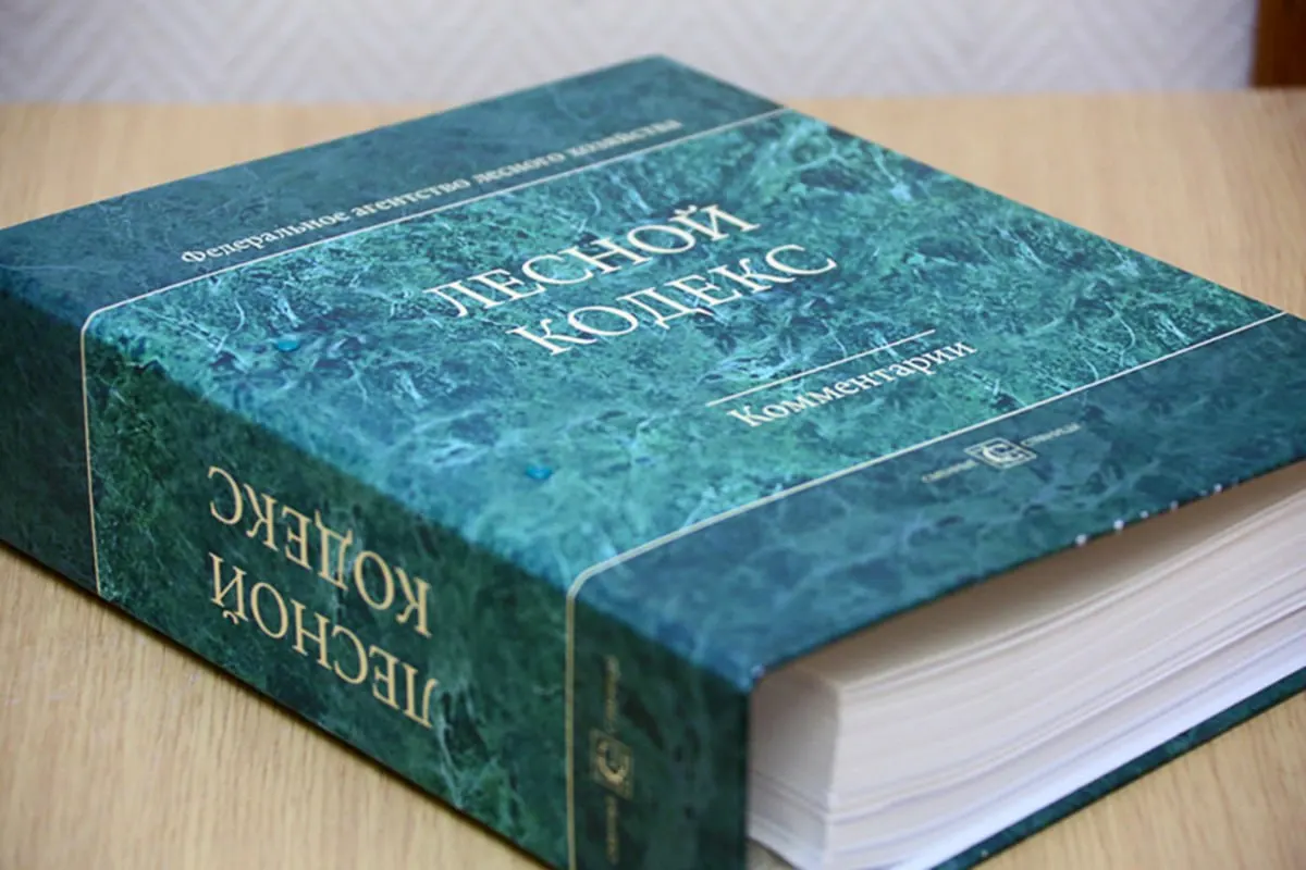 Эксперт по лесному хозяйству отмечает, что многочисленные поправки сделали кодекс неактуальным; он предлагает создать новый, компактный и понятный документ.
