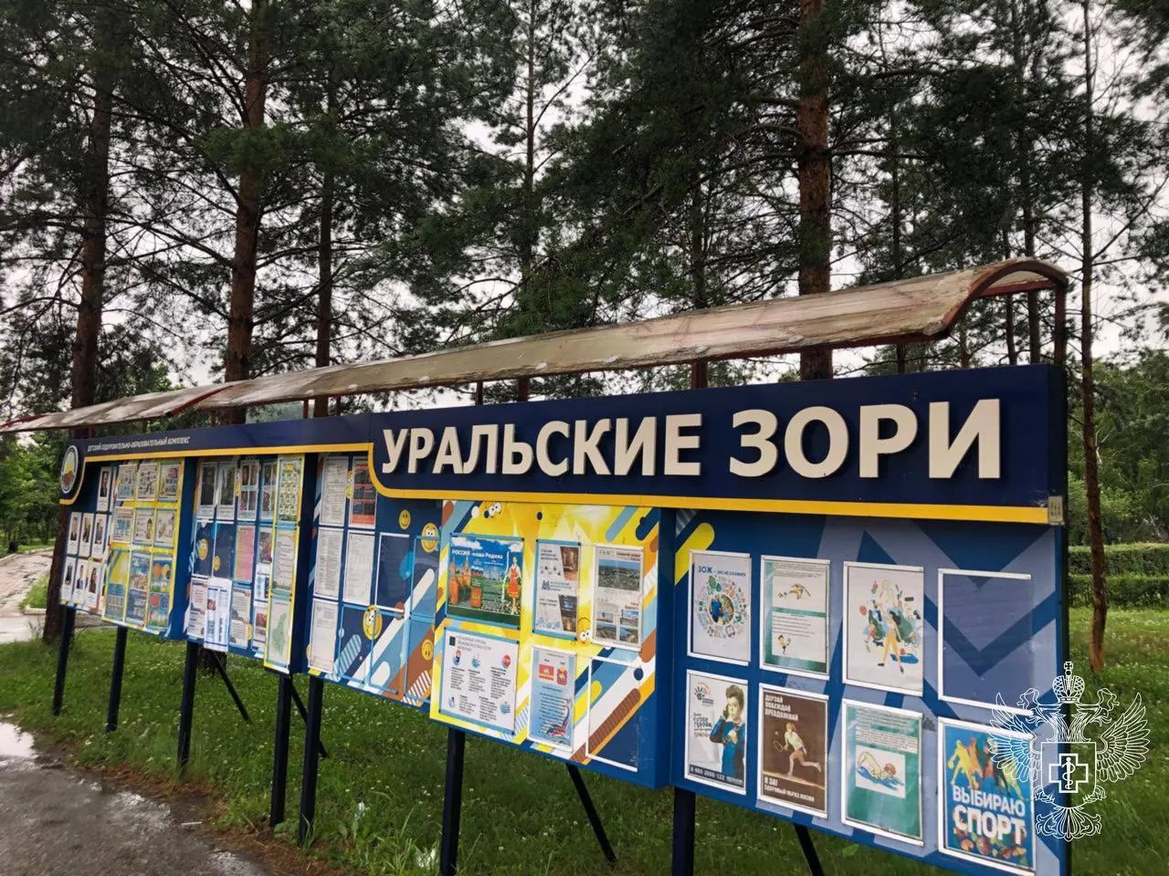 В детском лагере «Уральские зори» на озере Банном у части участников форума появились симптомы кишечной инфекции и ОРВИ. Очевидцы говорят о десятках больных, в региональном министерстве — о пяти случаях; всем заболевшим оказывается помощь.