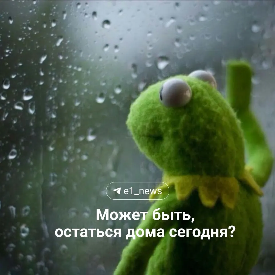 Утренний дождь не отменяет тепла: днем до +20°C, но завтра ожидается похолодание до +16°C и порывистый ветер.