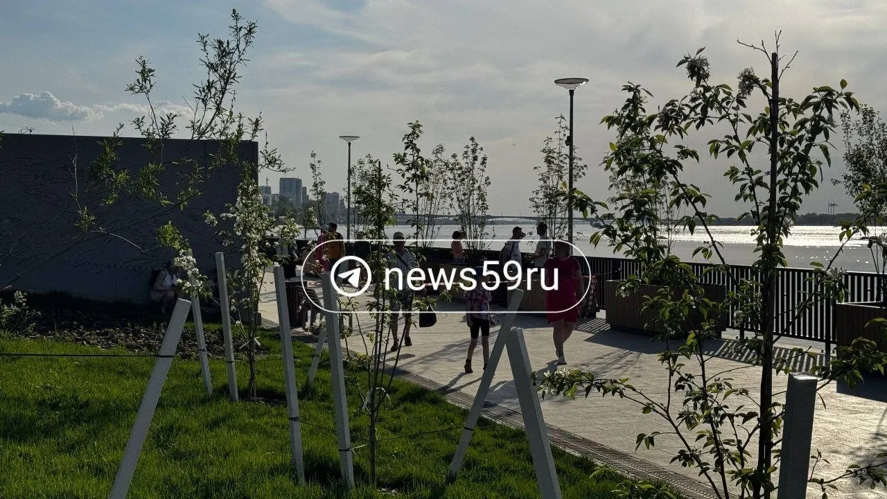 На набережной у Мотовилихинских заводов спасатели на моторной лодке направили лося через реку на правый берег. Операция длилась около 45 минут, оцепление сняли, полиция осталась дежурить.