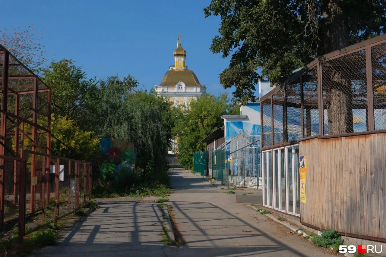 Археологи обнаружили захоронение, которое, по предварительным данным, может принадлежать профессору Александру Генкелю. Раскопки продолжаются, учёные также ищут места захоронений священномучеников, готовится экспертная комиссия.