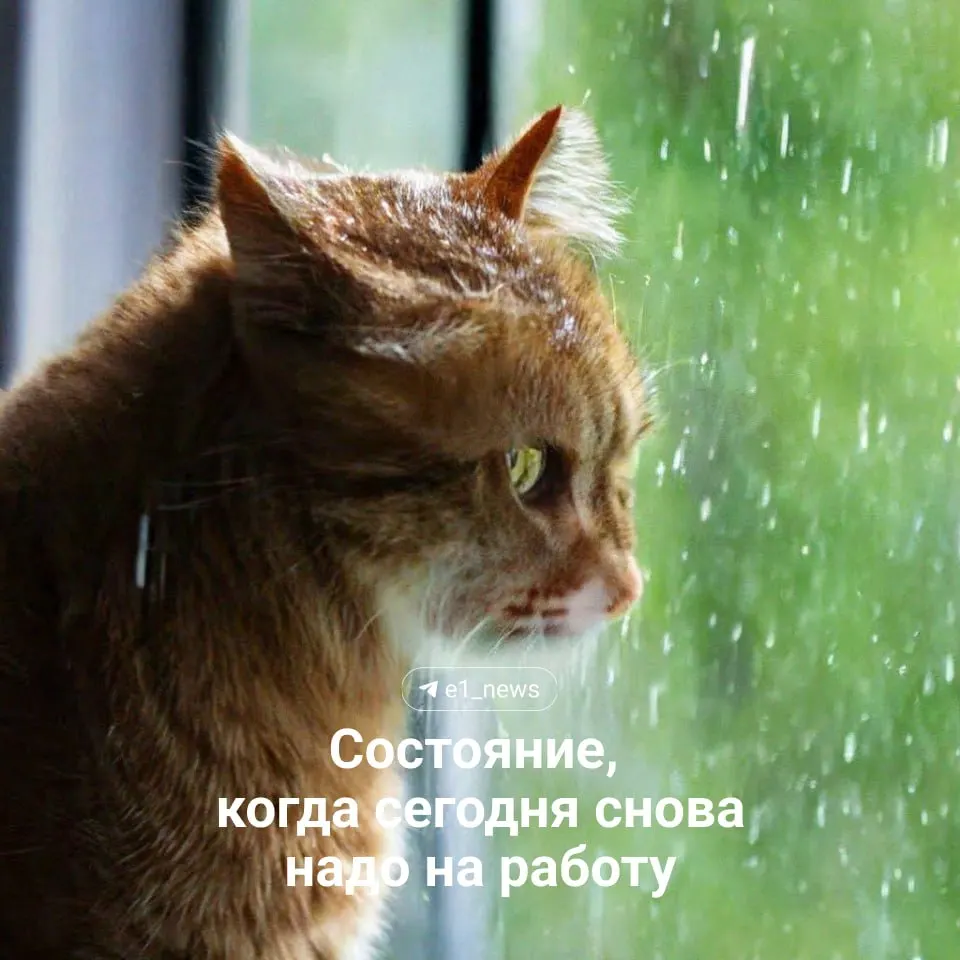 Синоптики прогнозируют ухудшение погоды: днем в области +23…+28°C и грозы. В самом Екатеринбурге осадков пока не ожидается, но дождь может прийти завтра.