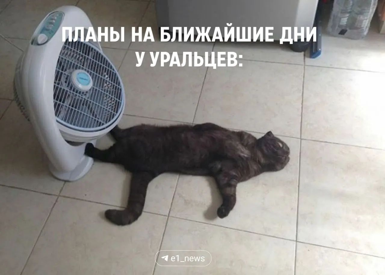 До вторника будет солнечно и до +28°C, в среду возможна гроза и до +29°C. После этого температура опустится до +22…+24°C, ночами около 10–12°C.