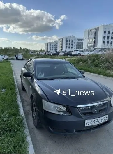 Жители Мичуринского заметили собаку, оставленную в салоне машины после рождения ребёнка в семье; окно было лишь приоткрыто, люди переживают за животное и ищут пути помочь.