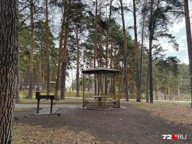 Жители разделились во мнениях: одни требуют убрать беседки с мангалами в Гилевской роще, другие — наоборот, просят их увеличить. В администрации сообщили, что изменений в 2026 году не планируется.