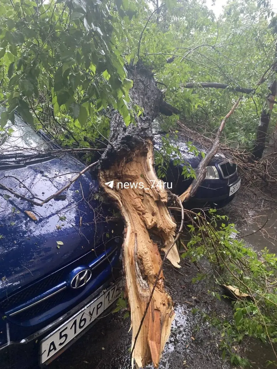 После сильного ливня на улице Энгельса, 69 рухнувшее дерево задело припаркованные автомобили; жители жалуются, что управляющая компания не убирает завал.