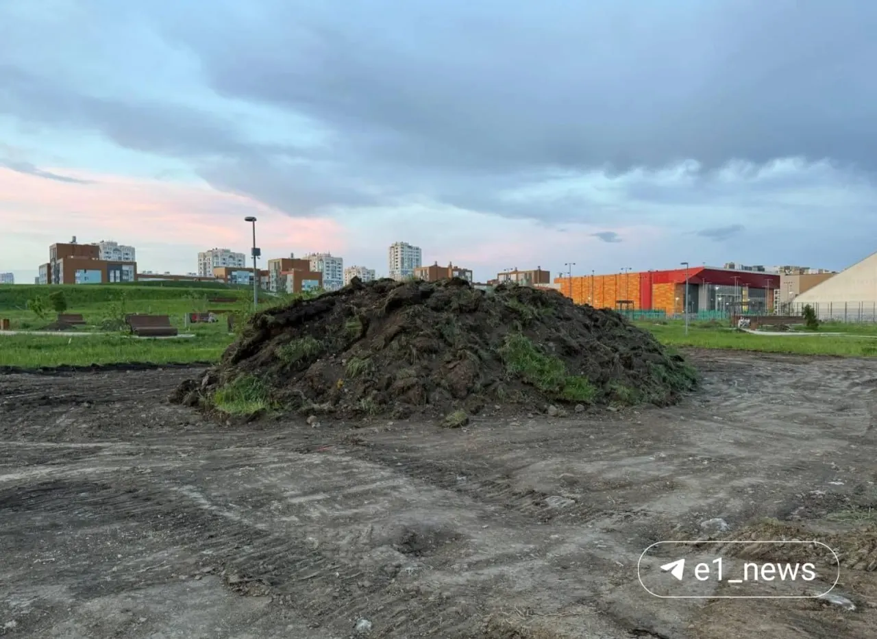 В парке заметили строительную технику и вспаханные участки. В администрации района заявили, что планируют посадить деревья и обустроить спортивные и детскую площадки.