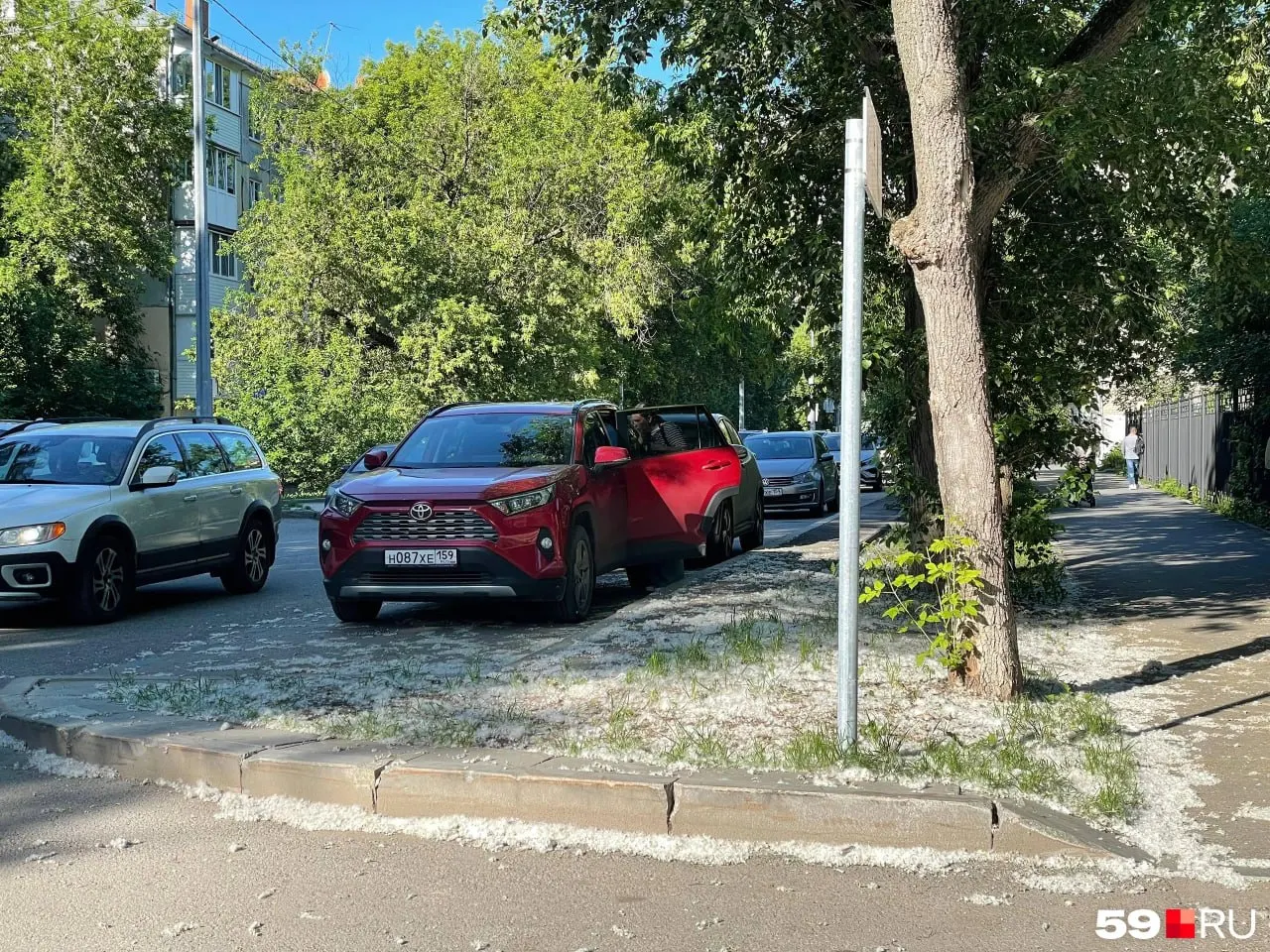 В&nbsp;Перми несколько дней бушует «пухапокалипсис»: почему в&nbsp;городе столько тополиного пуха