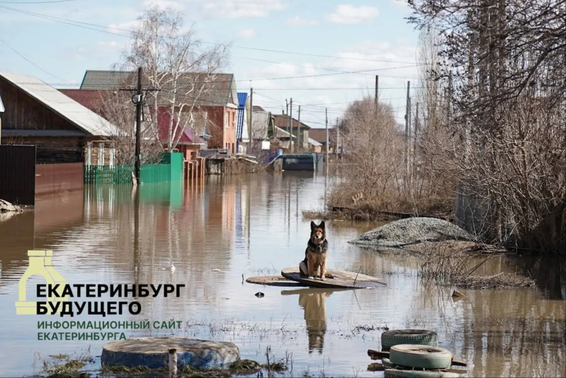 Затяжные дожди и подъём уровня рек привели к затоплению мостов и участков дорог — транспортное сообщение с 17 населёнными пунктами Свердловской области временно прервано. Введён режим повышенной готовности, синоптики фиксируют аномально высокий объём осадков в июне.