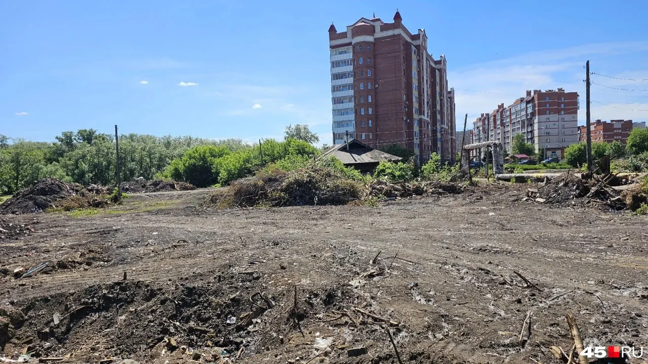 На улице Карельцева разобрали почти все ветхие дома. На месте освобождённого участка до 15 октября создадут зону отдыха «Дерево жизни» за 63,9 млн руб.: высадят ивы, черёмуху, сирень и яблони.