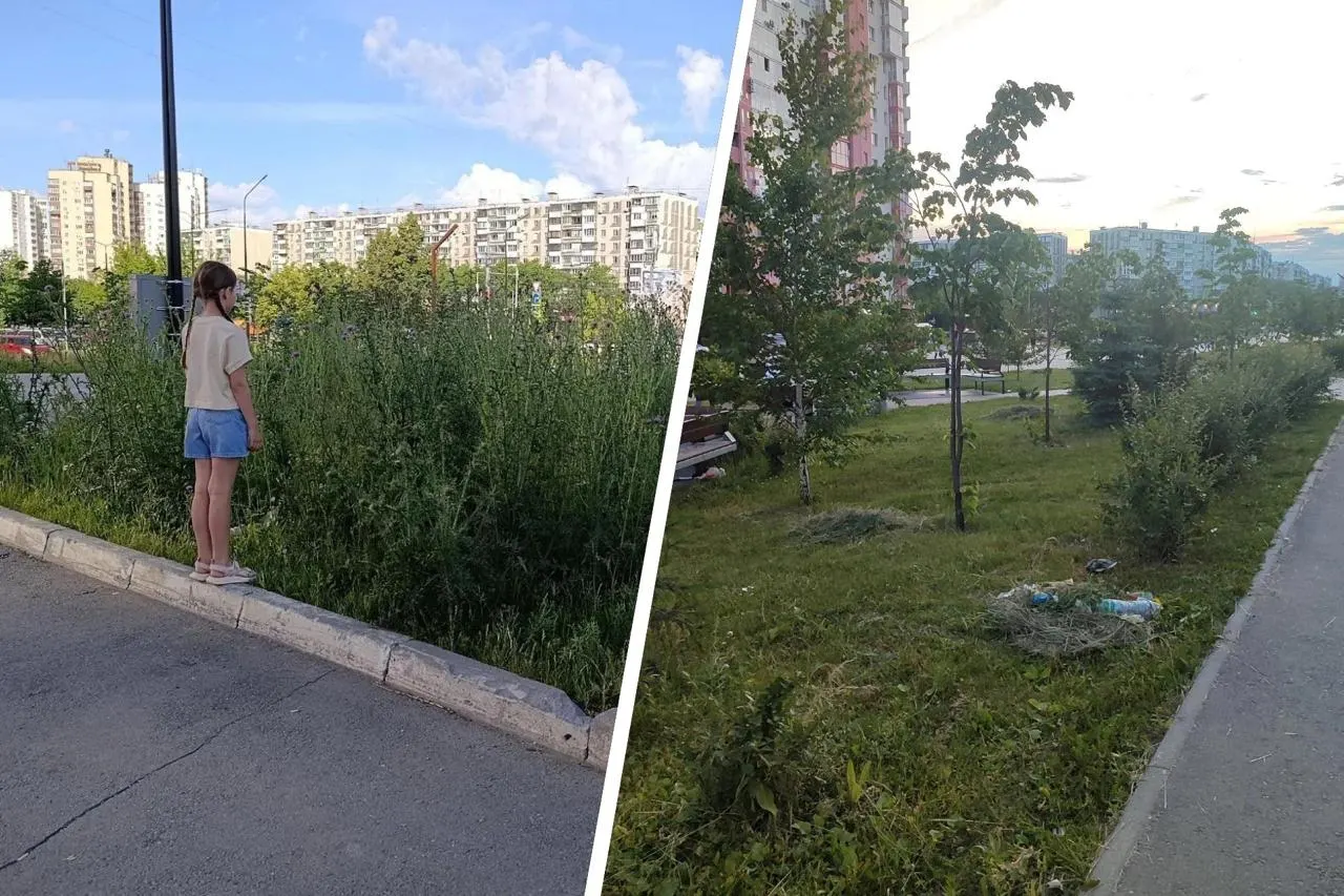 В Челябинске после покоса в сквере 40‑летия Победы коммунальщики убрали сорняки, но не вывезли скошенную траву — жители заметили груды растительности на газонах.