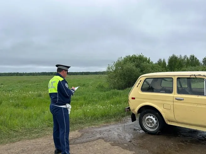 31 мая на грунтовой дороге в районе Сухого Лога 66‑летний водитель «Нивы» не справился с управлением, вылетел в болото и скончался до приезда медиков.