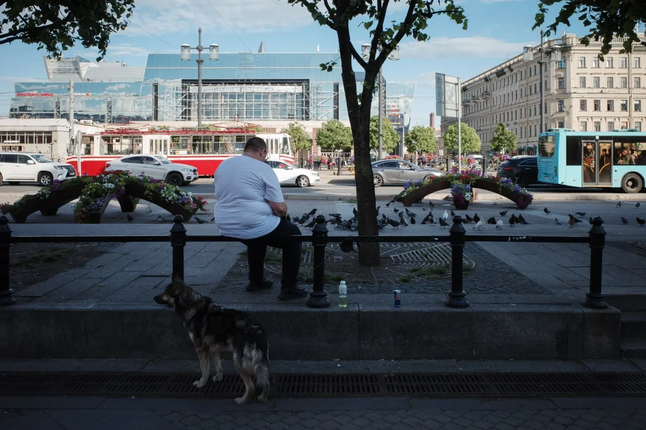 В Петербурге присвоили новые топонимы и выкосили ландыши в Монрепо, на время «Алых парусов» запланированы дополнительные поезда; по стране — поправки о сообщении банками данных о счетах несовершеннолетних, сообщения о жертвах атак и новые правила для библиотечных фондов.