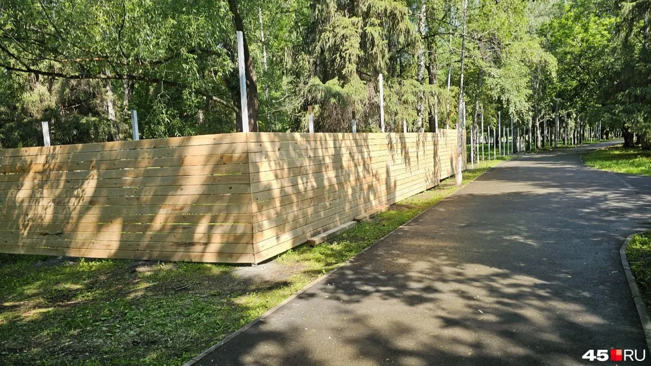 В центральном парке появились ограждения под будущий парк альпак. Некоторые посетители рады новинке, другие переживают о шуме, запахе и вырубке деревьев.