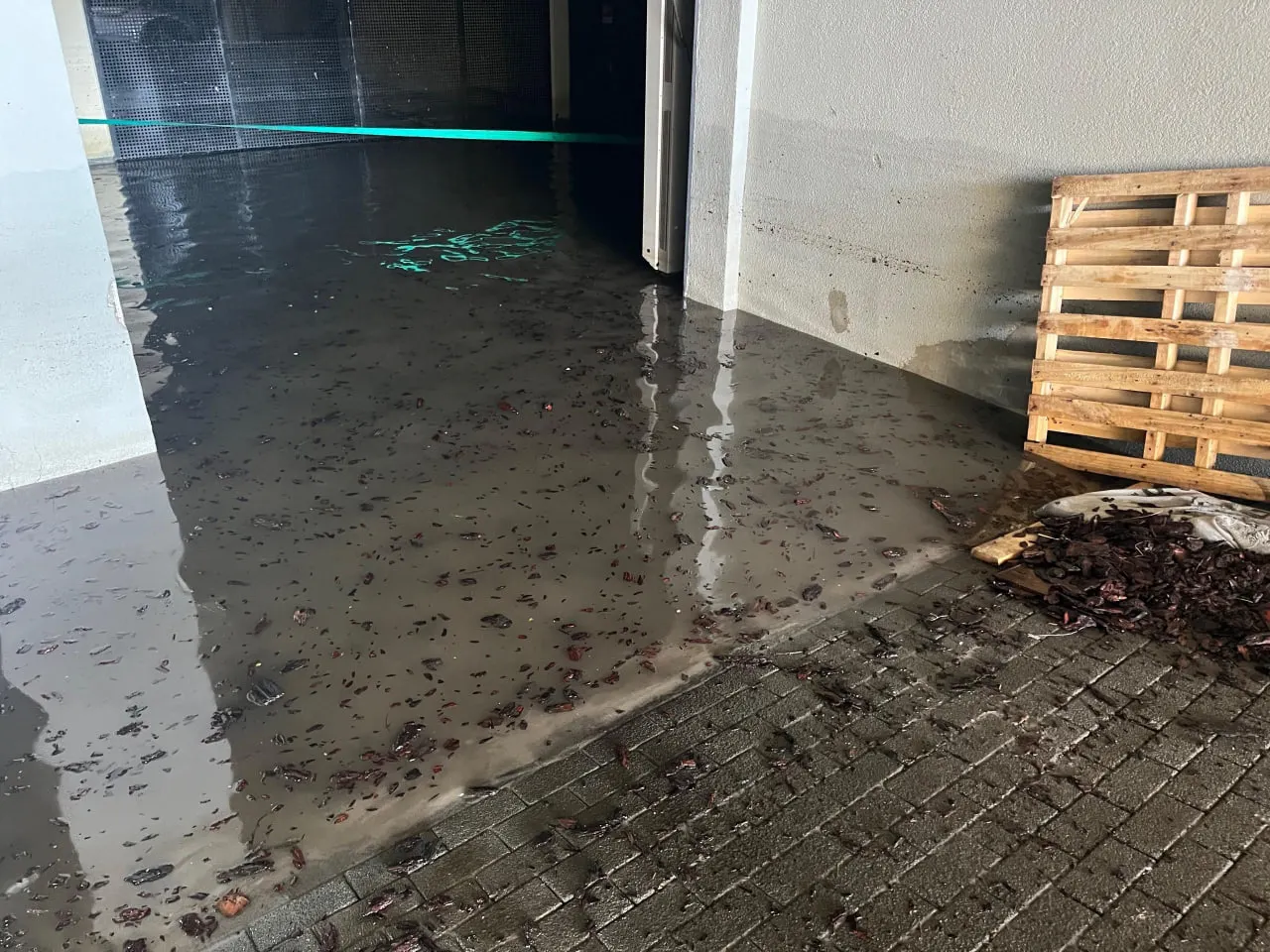 В подземном паркинге жилого комплекса уровень воды превысил метр. Воды откачивают, владельцы начали вывозить машины, коммунальщики и застройщик выясняют источник подтопления.