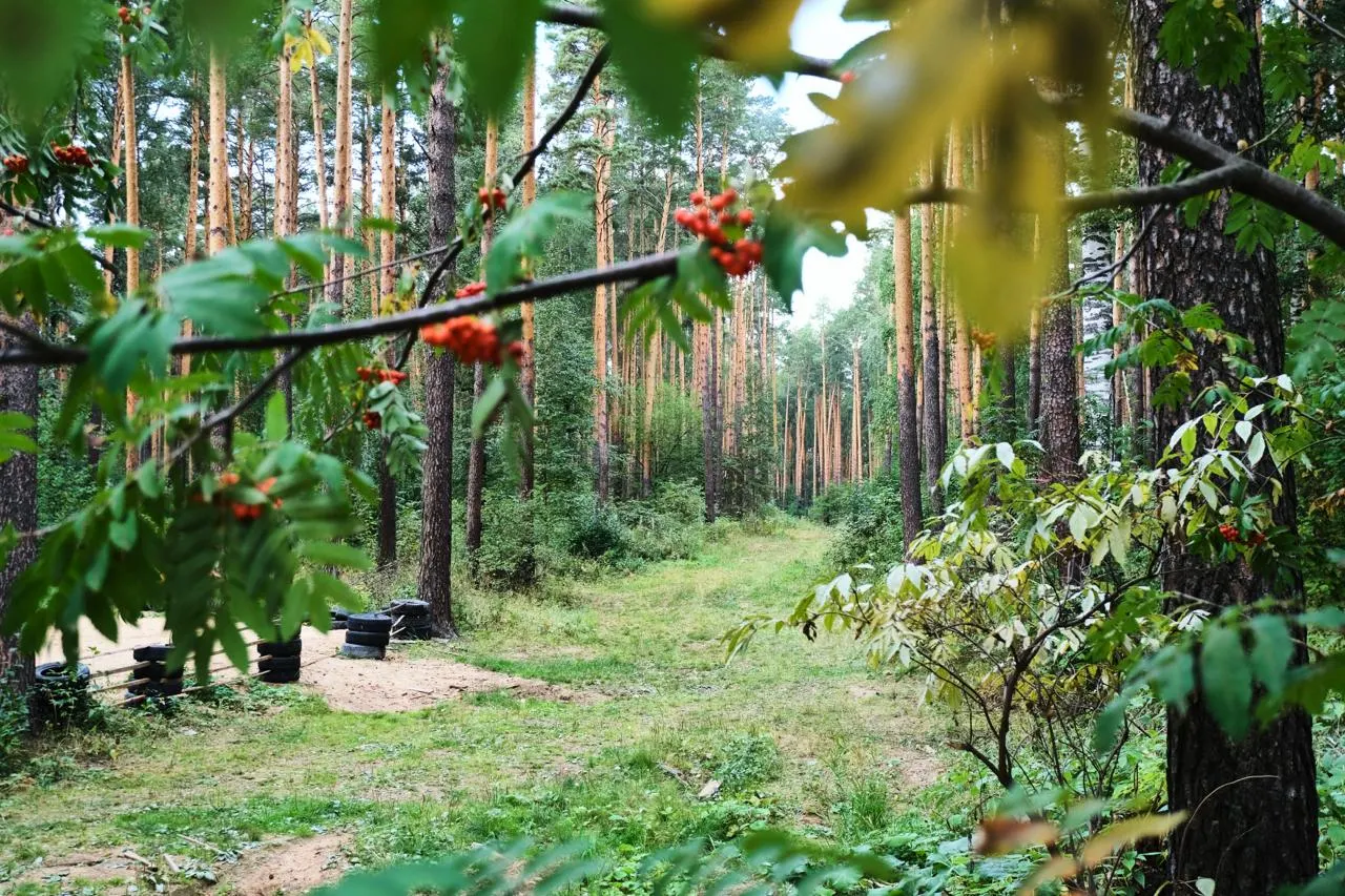 В регионе зафиксировали около 15 тыс. укусов клещей; лабораторные исследования показали высокий процент носителей боррелиоза и наличие других клещевых инфекций.