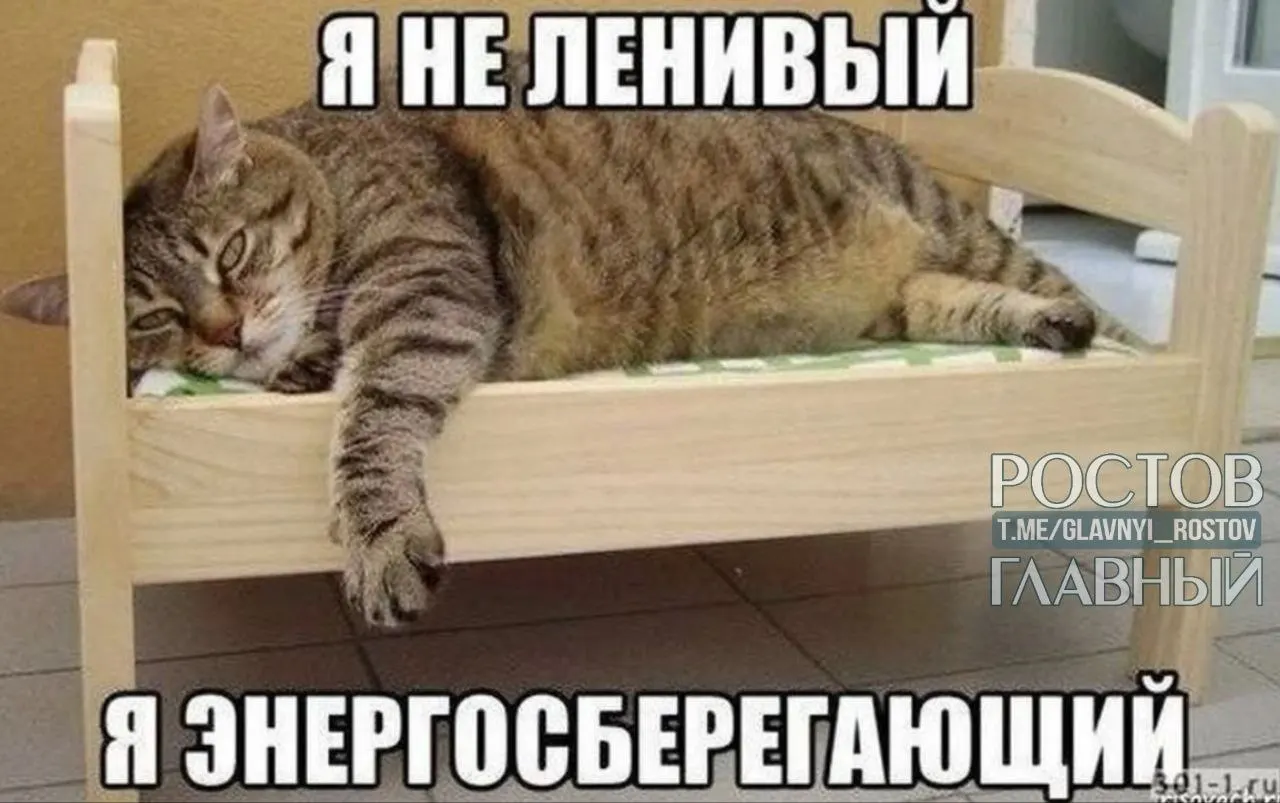 Опрос показал: желание сократить рабочий день до шести часов сильнее выражено в Нижнем Новгороде, Перми и Воронеже; петербуржцы чаще мечтают вовсе не работать, а больше всего трудоголиков — в Краснодаре и Ростове-на-Дону.