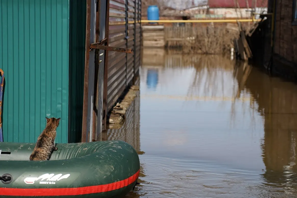 С 10 по 15 июня в большинстве водоёмов региона ожидается резкий подъём уровня воды. Экстренные службы и муниципалитеты переведены в режим повышенной готовности — особая опасность в ряде городов и бассейнов рек.
