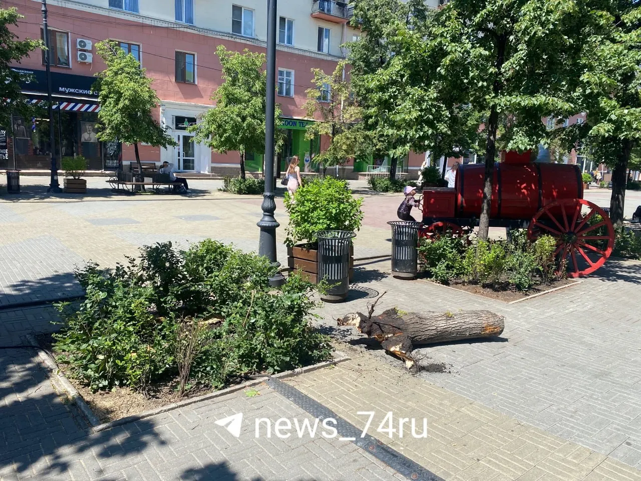 На центральной улице Челябинска удалили четыре сухих дерева по разрешению администрации. Места временно остаются пустыми, а новые липы планируют посадить осенью.