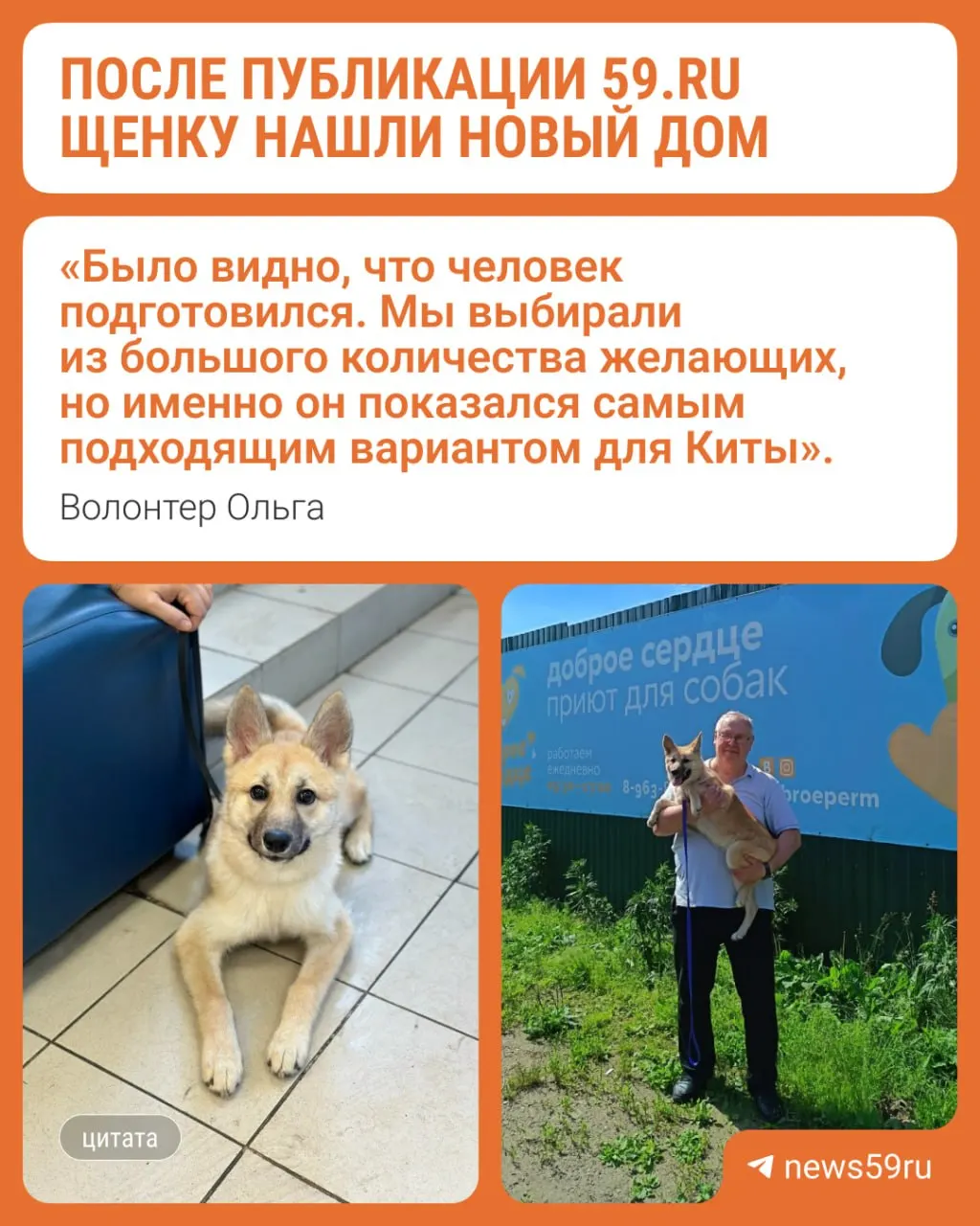 Кита, которую сначала спас ребёнок, теперь живёт в новой семье — её забрал опытный пенсионер. История щенка помогла найти хозяев ещё двум питомцам приюта.