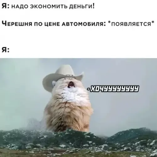 Мы проверили цены в супермаркетах и на рынках Челябинска: самые дешёвые ягоды — около 500–550 рублей за килограмм, в сетевых магазинах — до 899,99 рубля.