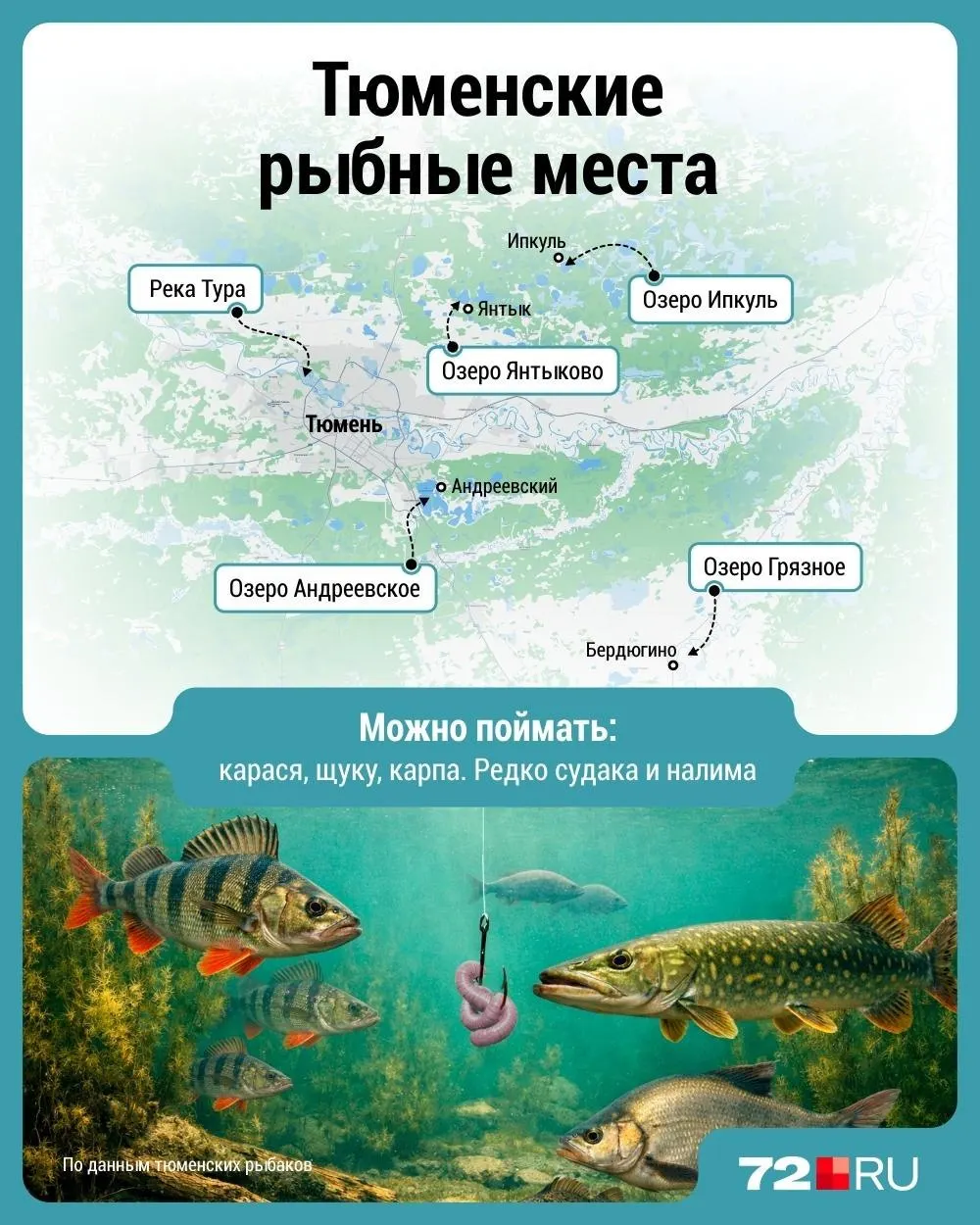 Сезон рыбалки в Тюмени в полном разгаре. Собрали проверенные водоёмы и участки реки Туры, где хорошо клюёт карась, щука, карп, судак и налим.
