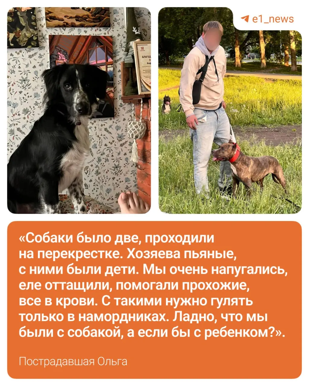 На перекрёстке Бакинских Комиссаров — Восстания собака агрессивной породы набросилась на женщину и её щенка. Пострадавшая написала заявление в полицию, щенку потребуются дополнительные обследования.