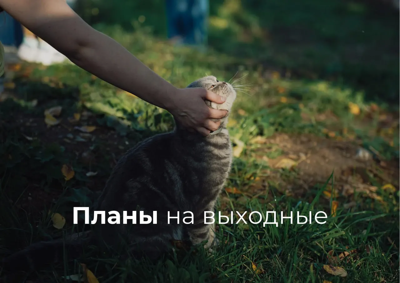 Короткая афиша на 19–21 июня: прогулки по городу, уличный стрит-арт, спектакли, цветочный маркет, экскурсия и показ матча чемпионата мира.