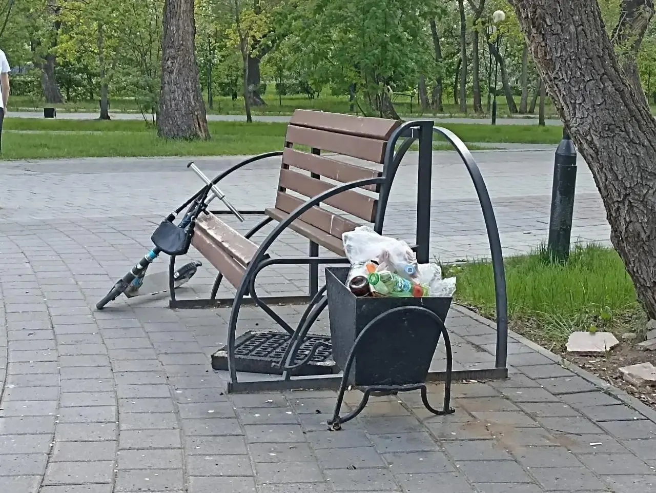 Скамейки выломаны, качели сняты, фонтан не работает, цветники заросли — тюменцы возмущены состоянием сквера. Власти осмотрели участок и пообещали привести его в порядок в течение двух недель.