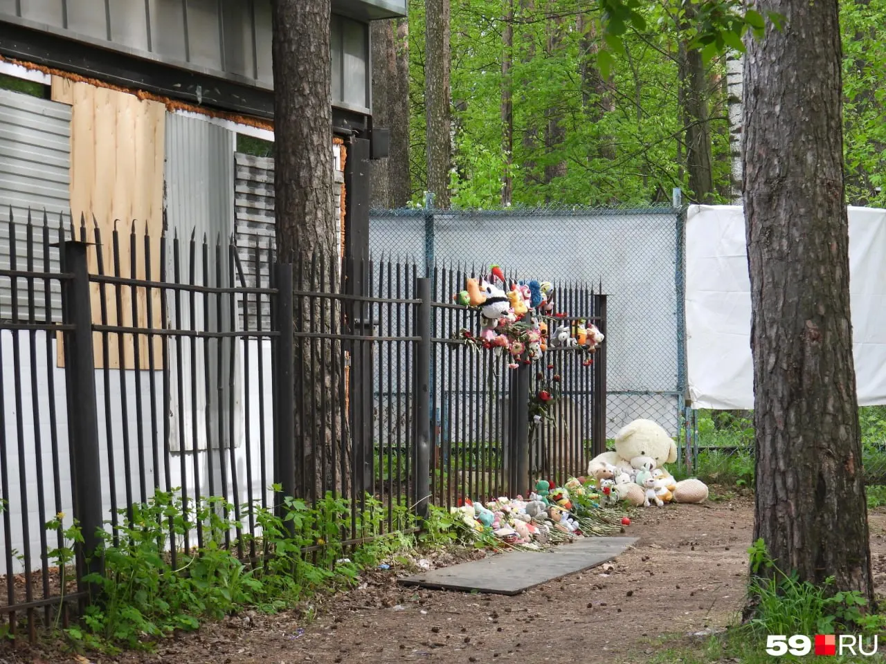Бастрыкин запросил доклад по&nbsp;делу о&nbsp;гибели девушки, найденной на&nbsp;заборе в&nbsp;Закамске