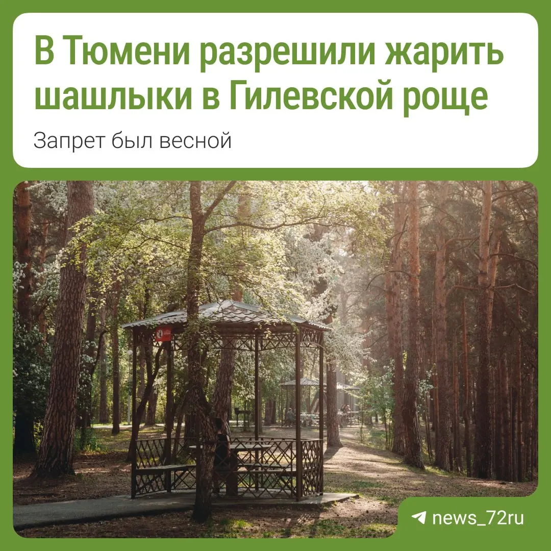 В Тюмени отменили ряд ограничений противопожарного режима: готовить пищу на открытом огне теперь можно на специально оборудованных площадках в городских лесах и в Гилевской роще. В других местах огонь по-прежнему запрещён.