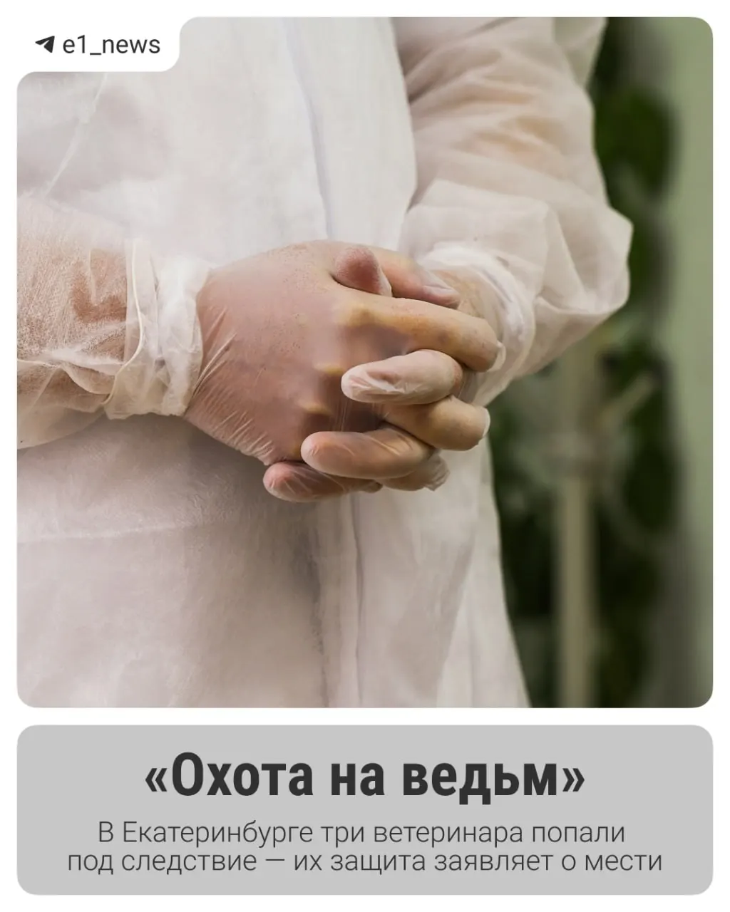 Сотрудниц управления ветеринарии Екатеринбурга обвиняют в получении взяток и попустительстве некачественной продукции. Несколько предпринимателей дали показания, обвиняемые свою вину отрицают.