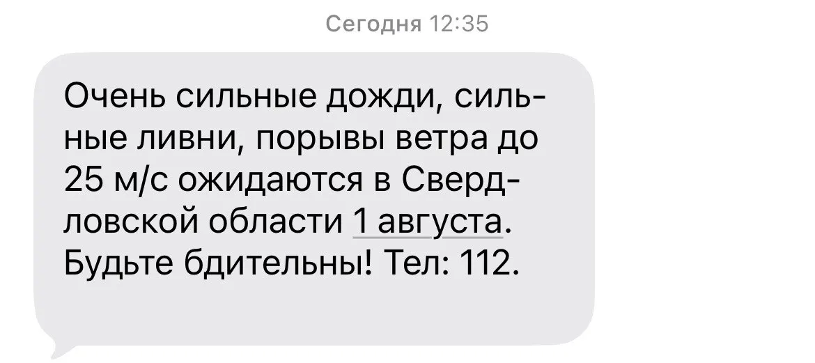 Днём 1 августа ожидаются очень сильный дождь с грозой, местами град и порывы ветра до 25 м/с; температура воздуха не превысит +20°C.