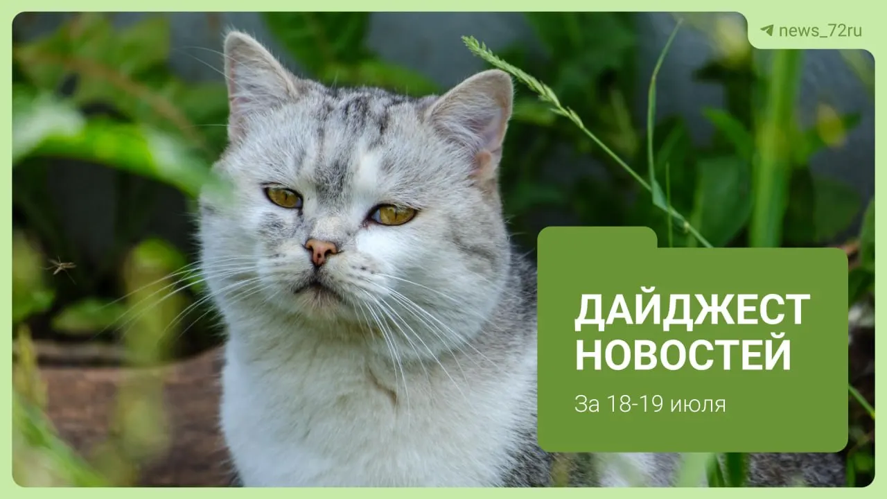 Краткий дайджест тюменских событий: потасовка на заправке, снятие ограничений для врачей, запуск долгостроя и другие заметки.