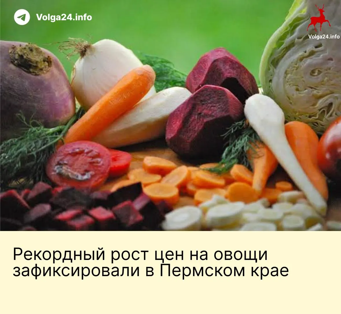 По данным Пермьстата, в июне и с начала года в Перми заметно подорожали картофель, лук, капуста и другие корнеплоды; общий индекс плодоовощной продукции в июне составил 102,7% к маю.