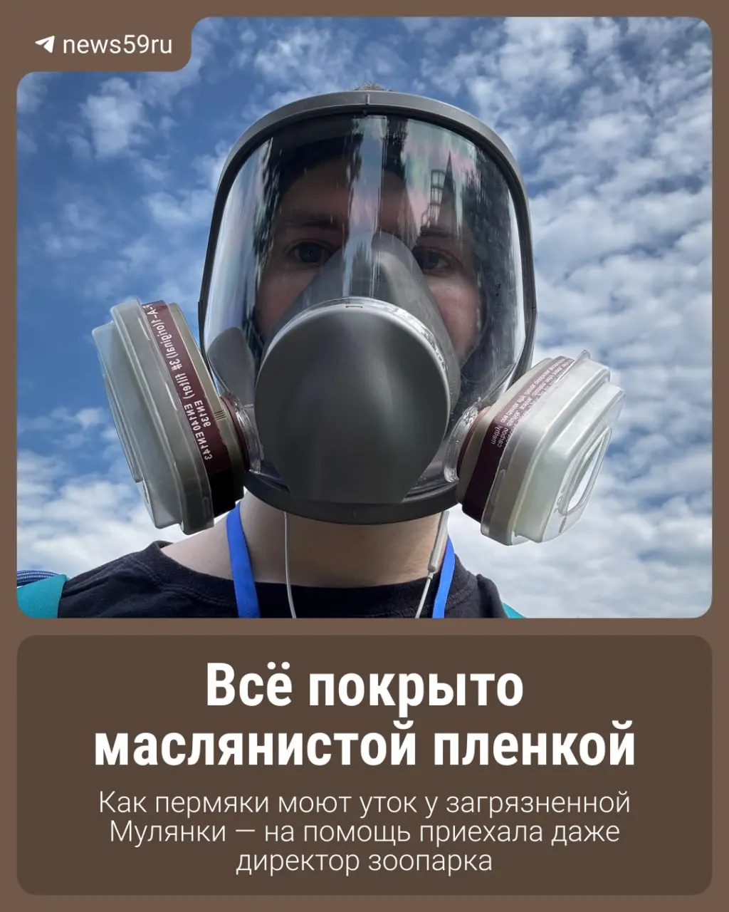 Возле Перми на трёх днях реки заметно масляное загрязнение: птицы покрылись чёрными пятнами, на месте работают добровольцы и новый директор зоопарка.