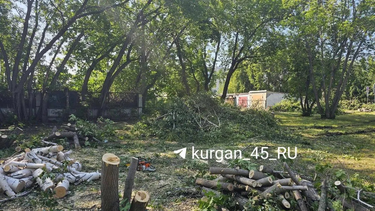 В&nbsp;центральном парке Кургана вырубают деревья