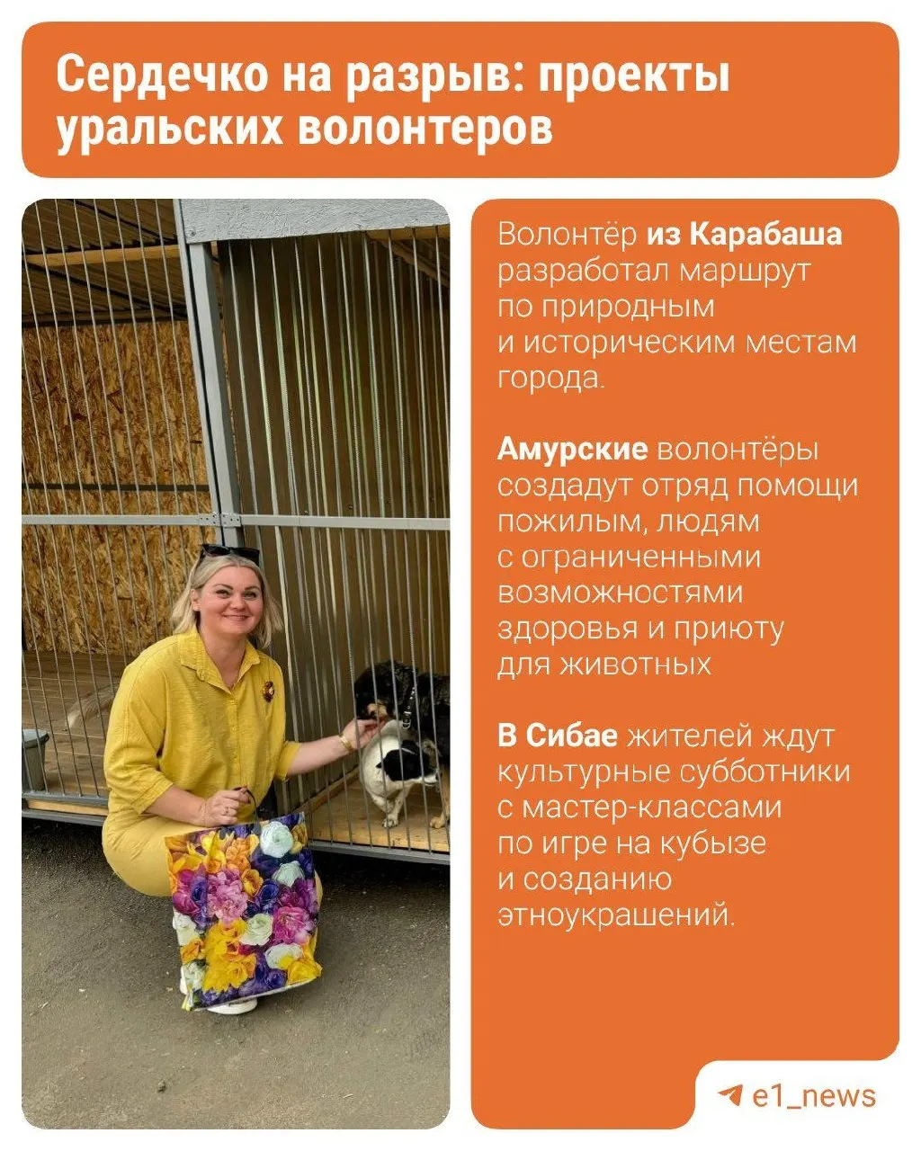 Жительница Алапаевска Елена Едемская начала помогать найденным котятам — сейчас сеть передержек насчитывает около 10 площадок и помогает более 100 кошкам и собакам.