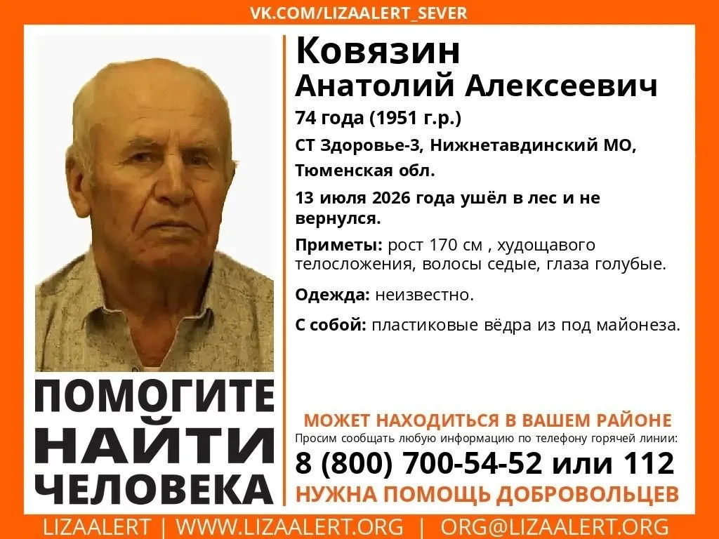 Пенсионер ушёл в лес за малиной 13 июля. В районе садового товарищества «Здоровье-3» развернули штаб поиска: в операции участвуют волонтёры, кинологи и спасательные отряды.