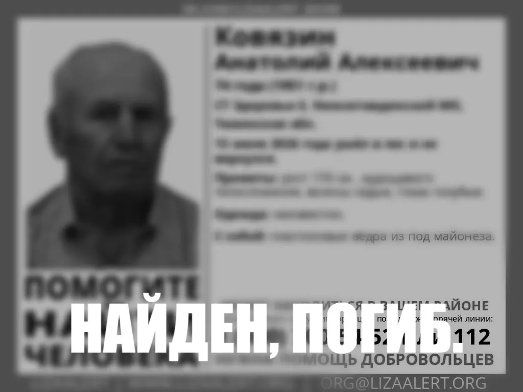 74‑летний Анатолий Ковязин ушёл 13 июля в лес за малиной в Нижнетавдинском районе и пропал. После двух суток поисков волонтёры обнаружили его тело.