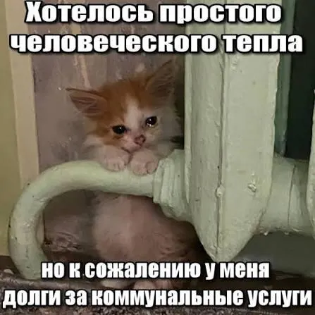 Верховный суд подтвердил, что взыскание долгов за капитальный ремонт старше трёх лет ограничивается сроком исковой давности по ГК РФ и такие суммы не должны включаться в квитанции. Решение важно для покупателей вторичного жилья и наследников.