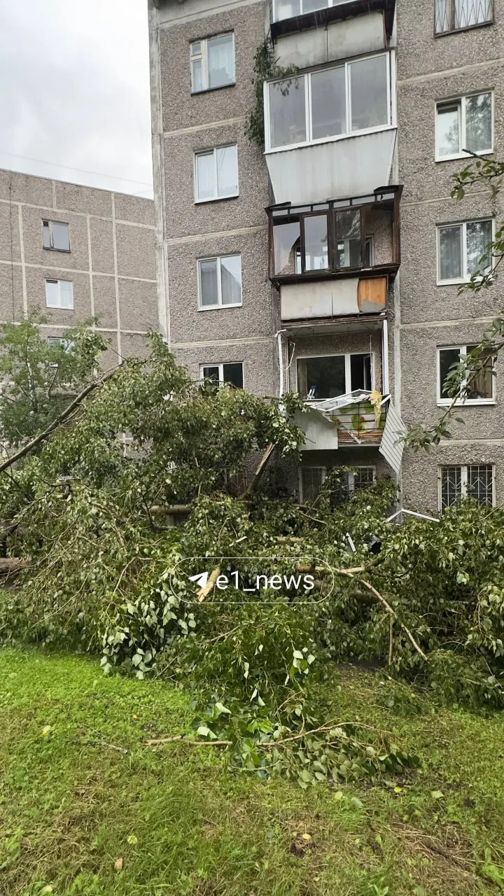 Ветер сорвал дерево с корнем, и оно обрушилось прямо на балконы жилого дома на Заводской, 46. О пострадавших пока не сообщается — жителям предлагают прислать фото и видео последствий непогоды.