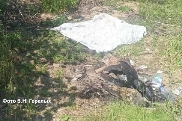 На Бисертском пруду в Свердловской области палатка рыбаков взорвалась после утечки газа — четверо мужчин с ожогами госпитализированы.