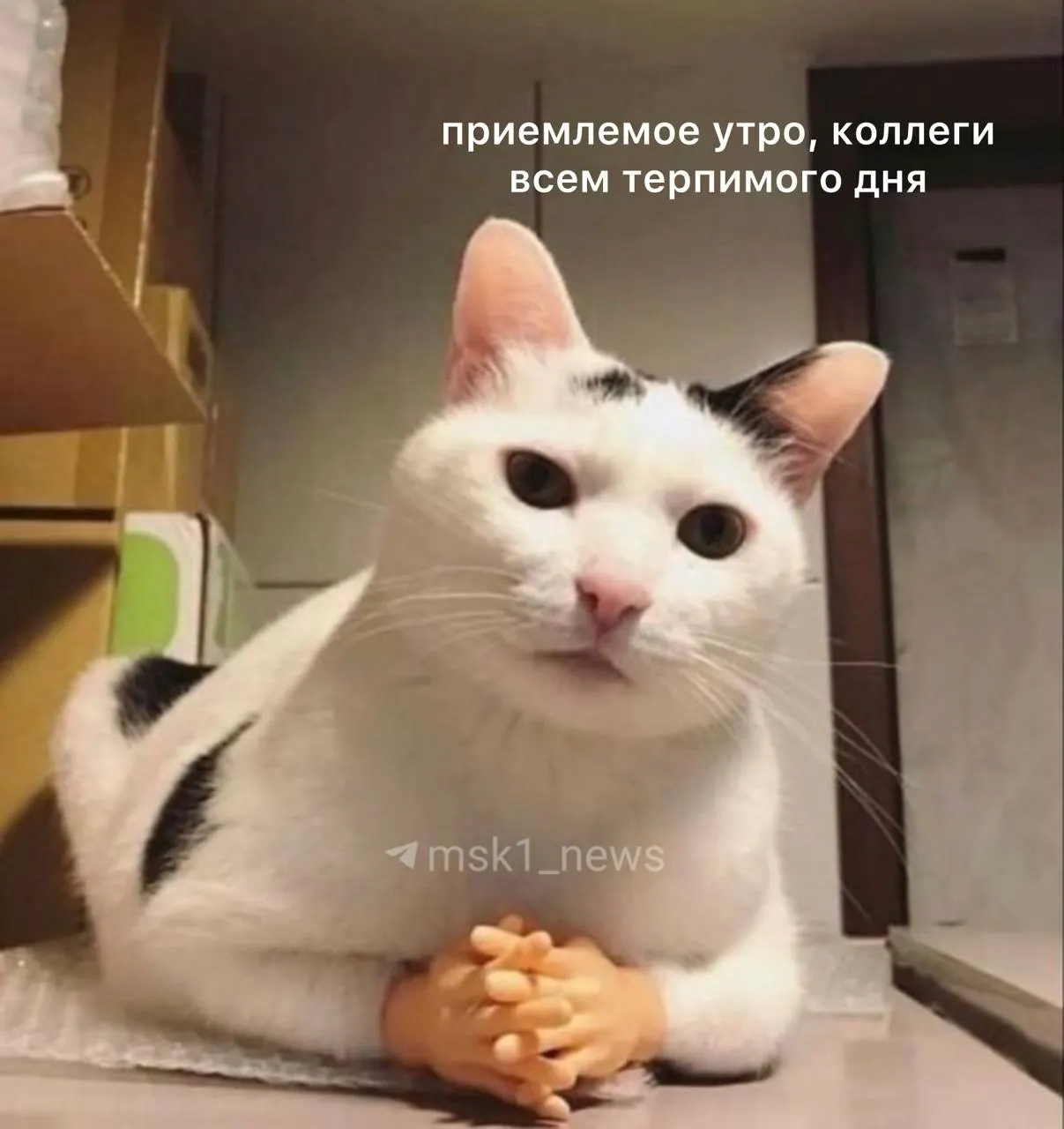 Сегодня в Перми ожидается облачность, местами небольшой дождь и грозы. Днём воздух прогреется до +26 °C.