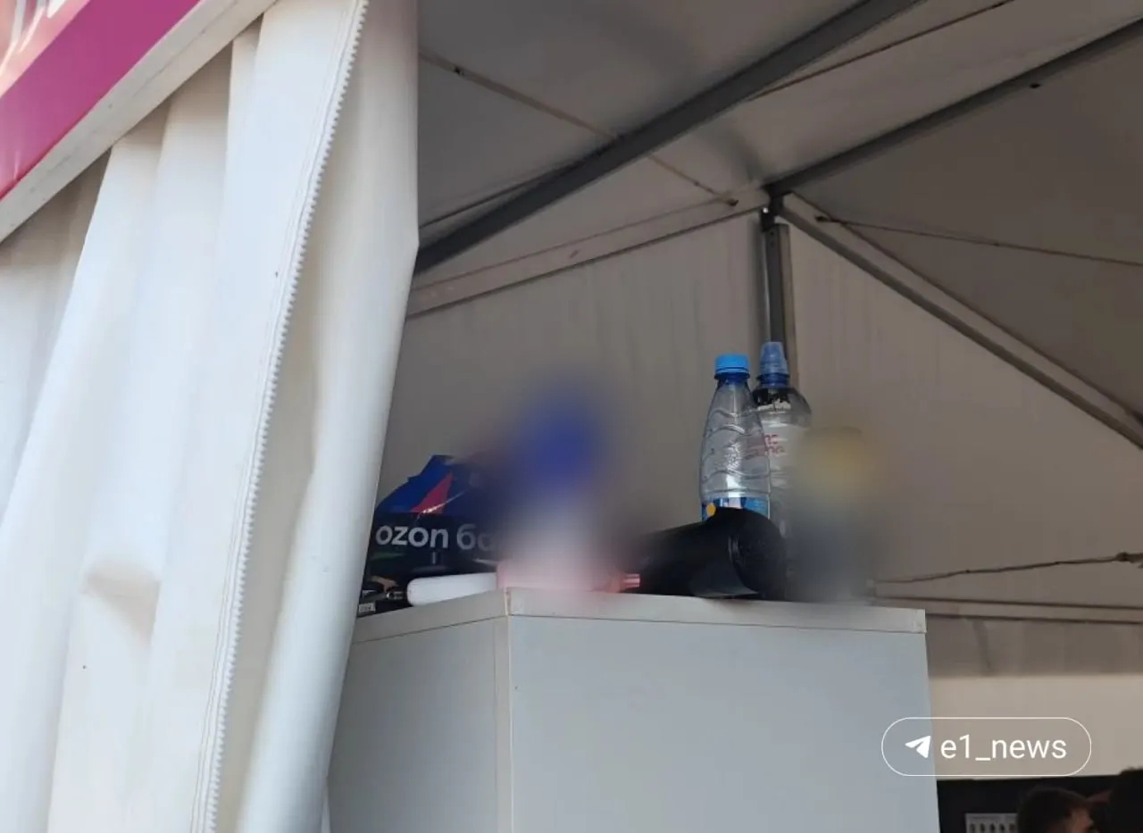 На выставке ввели широкий список запрещённых предметов — от пауэрбанков и вейпов до бутылок с водой и животных. Камеры хранения к утру оказались заполнены.